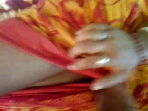 સેલાસિયસ બચ્ચાઓ Aide ...