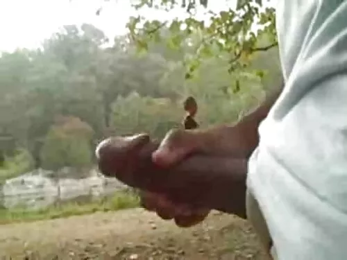 ગોળમટોળ સોનેરી ટ્રેમ ...