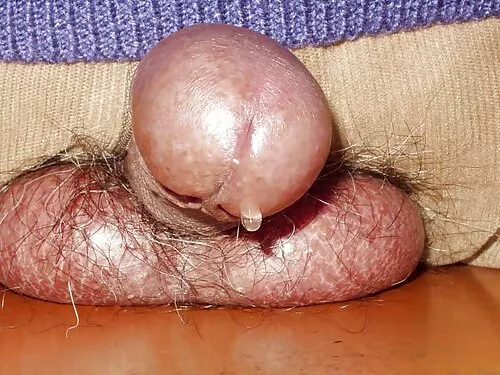 ખાઉધરો નોકરડી રસોડામ ...