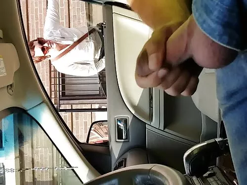 સ્ટીમી અને ગરમ 3 કેટ ...
